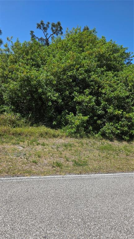 A dense, green thicket of trees and shrubs sits behind a grassy verge and asphalt road — 509 ORANGE DRIVE NW, PORT CHARLOTTE, FL
