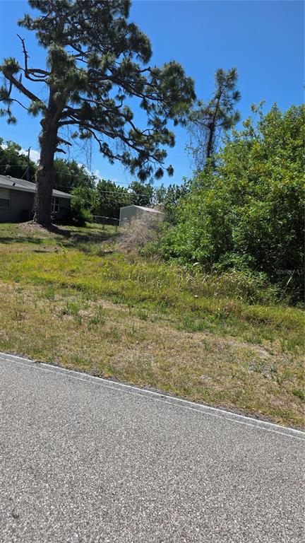 A grassy, undeveloped lot features a large pine tree and a small shed in the background — 509 ORANGE DRIVE NW, PORT CHARLOTTE, FL