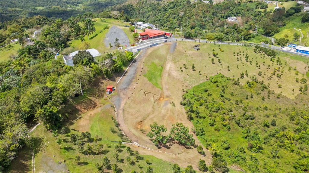 An aerial view shows a rural hillside property with a gravel driveway and red-roofed building — 788 BO QUEMADO SECTOR AIRES ROAD, SAN LORENZO, PR