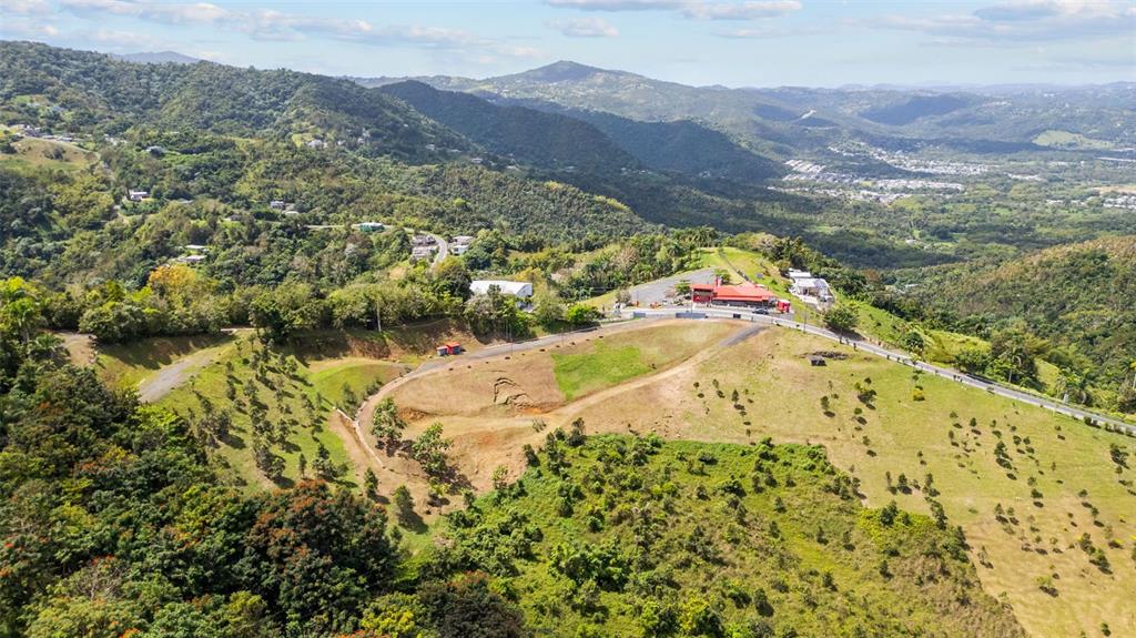 An aerial view shows a hillside lot with sparse trees, a road, and distant mountains — 788 BO QUEMADO SECTOR AIRES ROAD, SAN LORENZO, PR