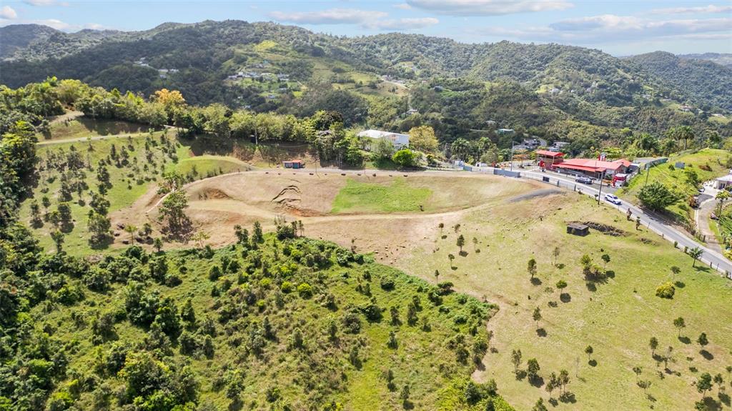 An aerial view shows a large, sloped, grassy plot of land adjacent to a paved road — 788 BO QUEMADO SECTOR AIRES ROAD, SAN LORENZO, PR