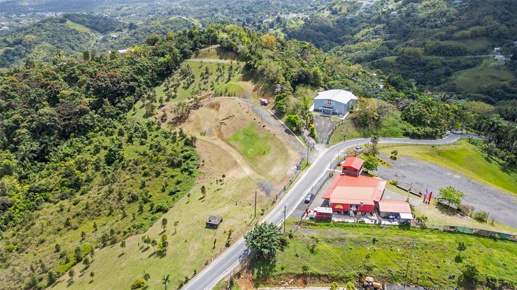 An aerial view shows a winding road, a red-roofed building, and a white structure on hills — 788 BO QUEMADO SECTOR AIRES ROAD, SAN LORENZO, PR