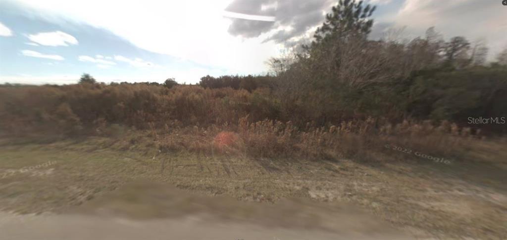 A view of a grassy, undeveloped lot with dense brush and trees in the background — BACKLAND PATH ROAD, POLK CITY, FL