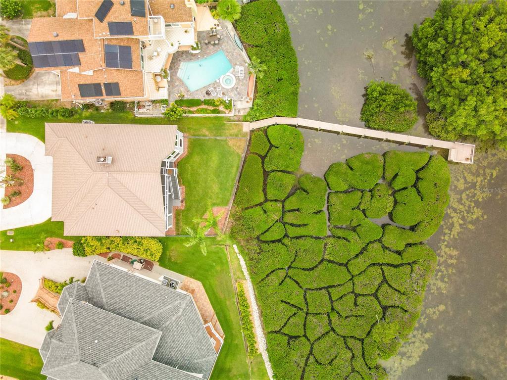 An aerial view shows three houses with pools and a wooden dock extending into mangroves — 2021 NORTH POINTE ALEXIS DRIVE, TARPON SPRINGS, FL