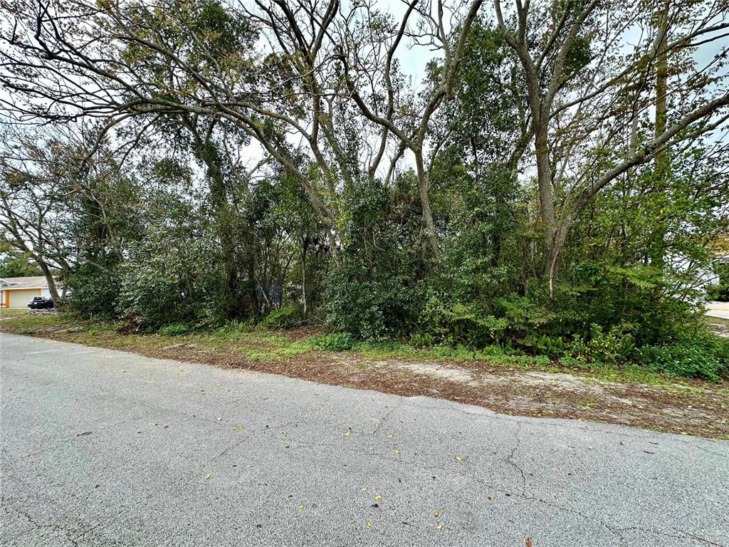 761 ARLENE DRIVE, DELTONA, FL — photo 2 of 4