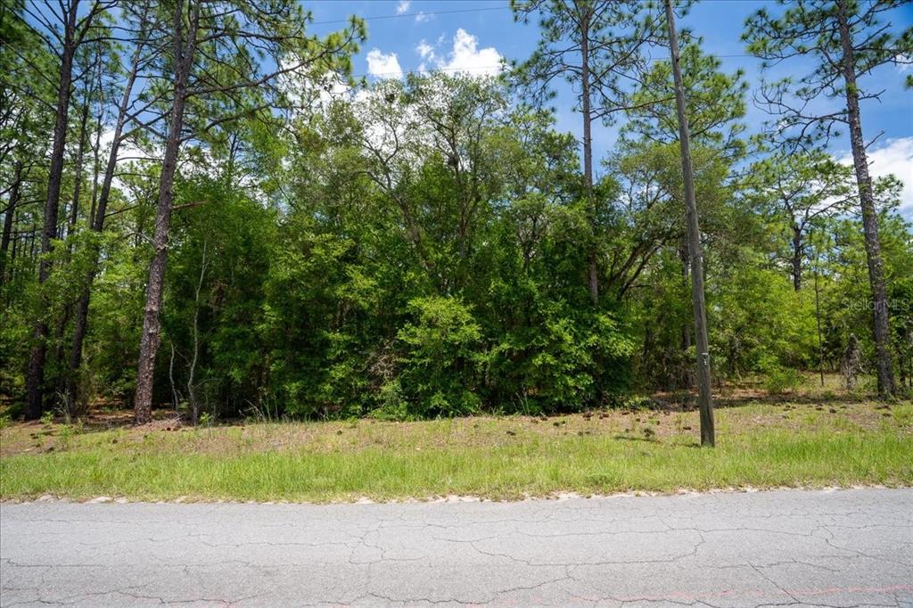A view of a vacant, wooded lot bordered by a paved road — 150TH AVENUE, WILLISTON, FL