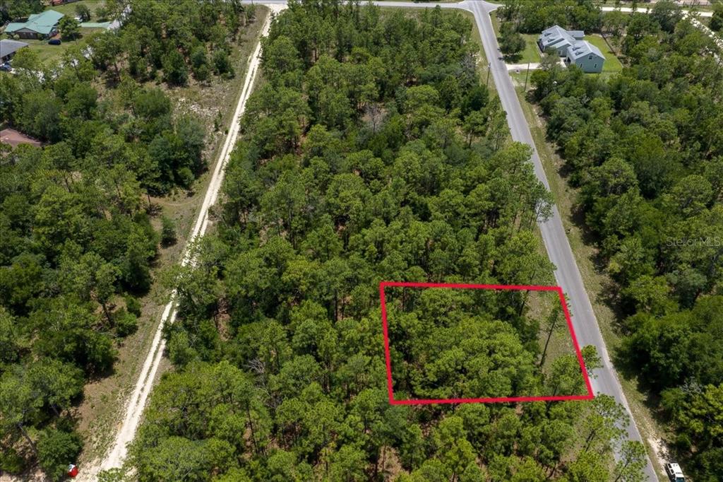 An aerial view shows a rectangular plot of land outlined in red beside a road — 150TH AVENUE, WILLISTON, FL