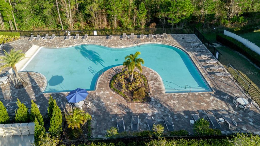An aerial view of a community swimming pool with a central island and lounge chairs — 16012 MICELLI DRIVE, WINTER GARDEN, FL