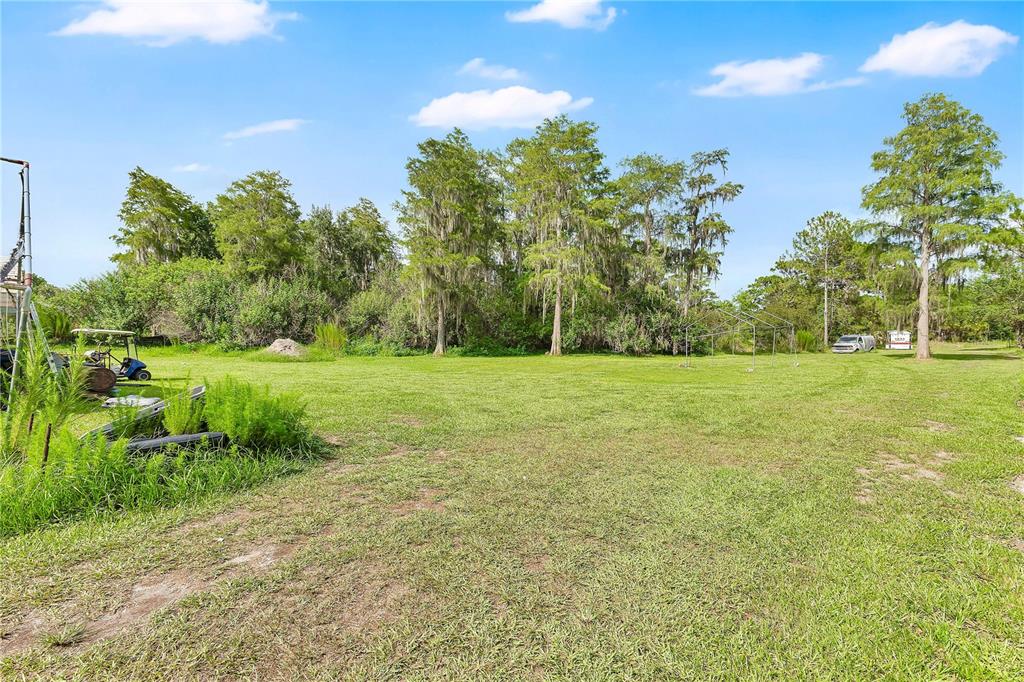A large, grassy field is bordered by tall trees with Spanish moss under a blue sky — 3925 KAISER AVENUE, ST CLOUD, FL