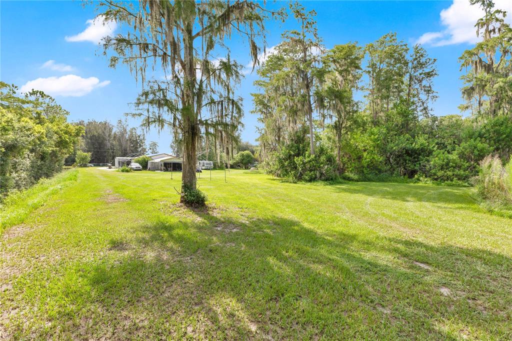 A large grassy yard features several tall trees draped with Spanish moss and a house — 3925 KAISER AVENUE, ST CLOUD, FL