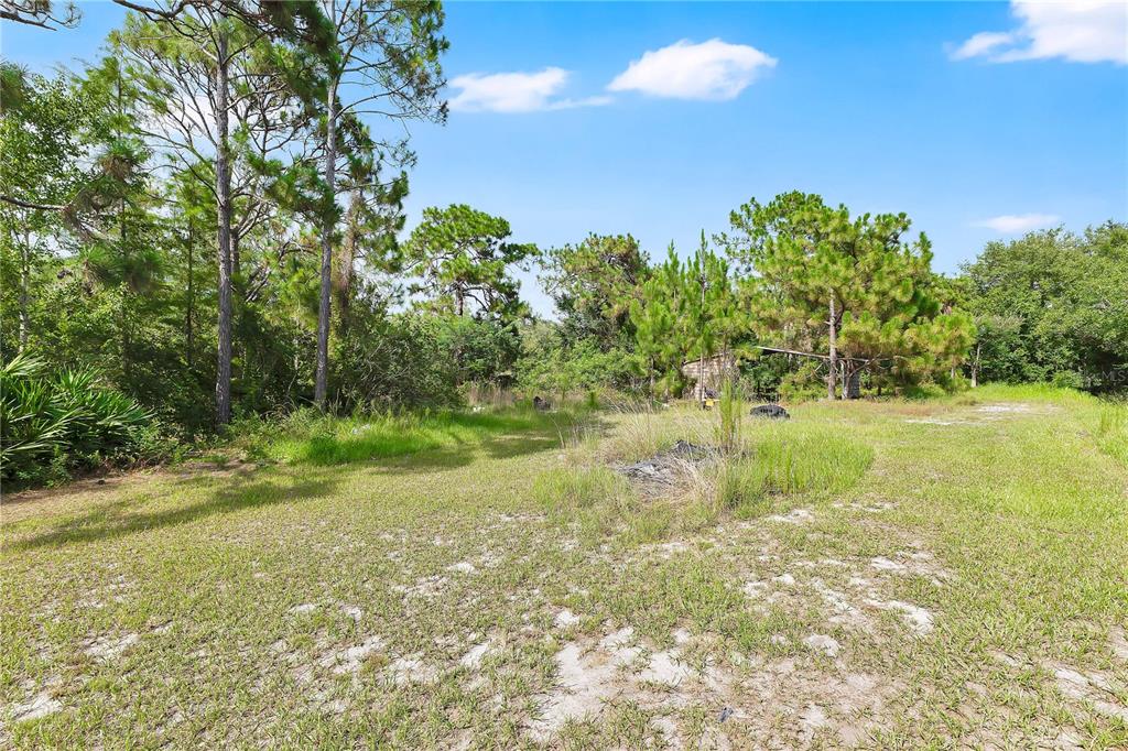 A grassy, sandy lot with scattered pine trees and a small structure in the background — 3925 KAISER AVENUE, ST CLOUD, FL