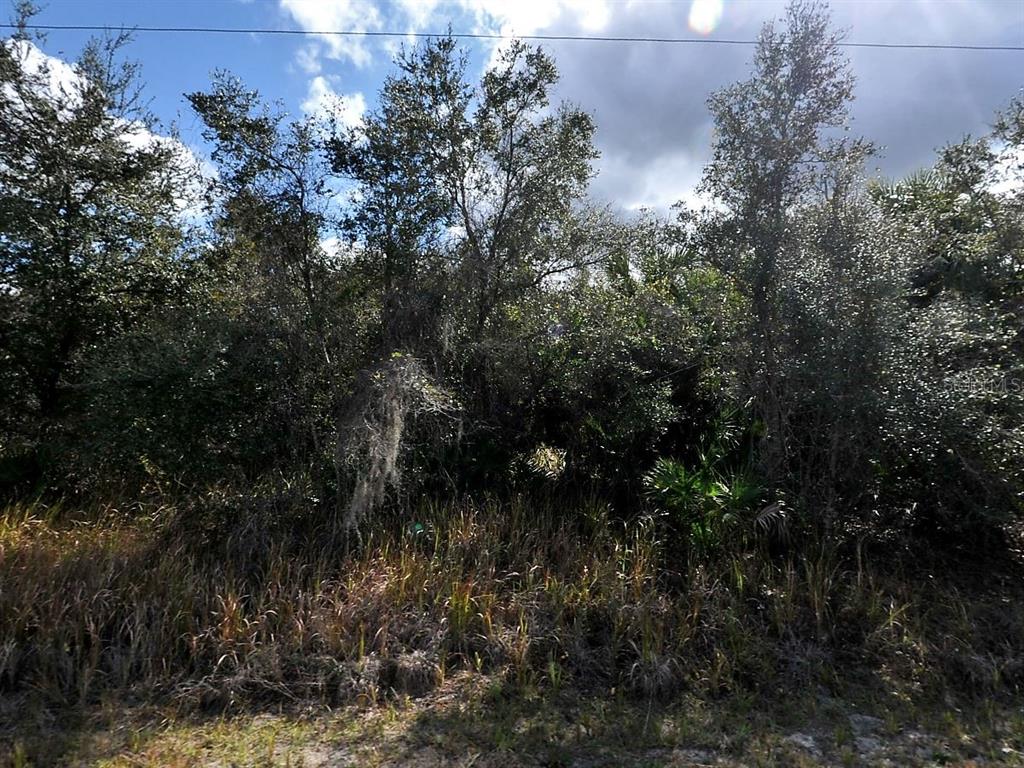 A dense, wooded lot with tall grasses and trees under a cloudy sky — Lot 31 CASCO CIRCLE, NORTH PORT, FL