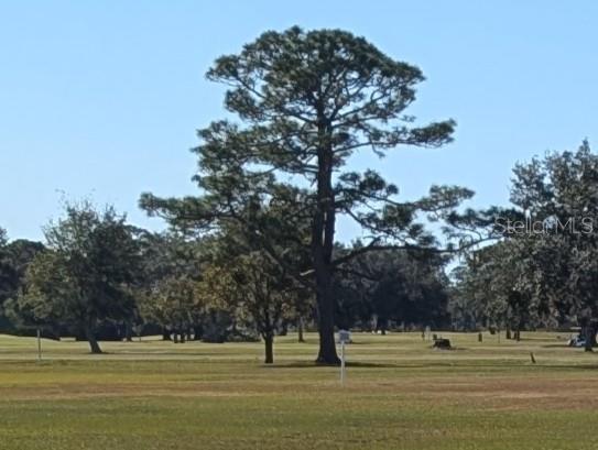 A large pine tree stands in the middle of a grassy golf course under a sky — 0 TROPICANA DRIVE, INDIAN LAKE ESTATES, FL
