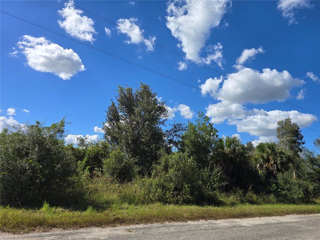 A vacant, overgrown lot with trees and shrubs sits along a paved road — 526 CABLE AVENUE S, LEHIGH ACRES, FL
