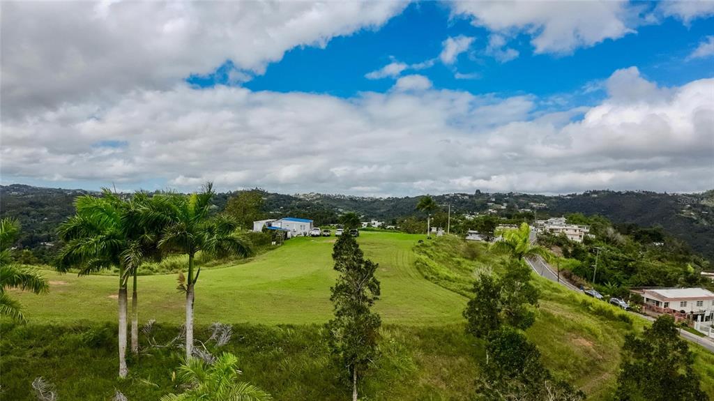 An elevated view of a grassy hillside with palm trees and distant residential buildings — 7784 CAÑABONCITO, CAGUAS, PR