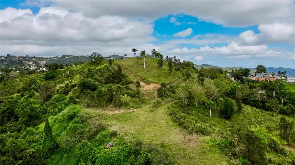 An aerial view shows a grassy, sloped hillside with scattered trees and distant residential buildings — 7784 CAÑABONCITO, CAGUAS, PR