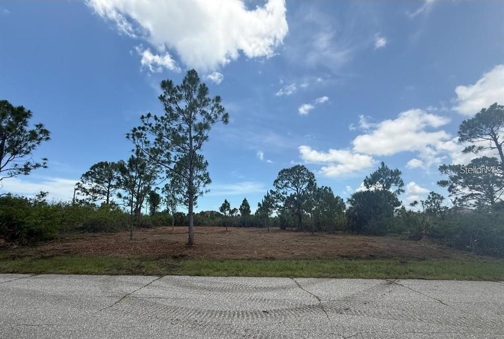A cleared, vacant residential lot features scattered pine trees under a blue sky — 9557 SUNDANCE STREET, PORT CHARLOTTE, FL