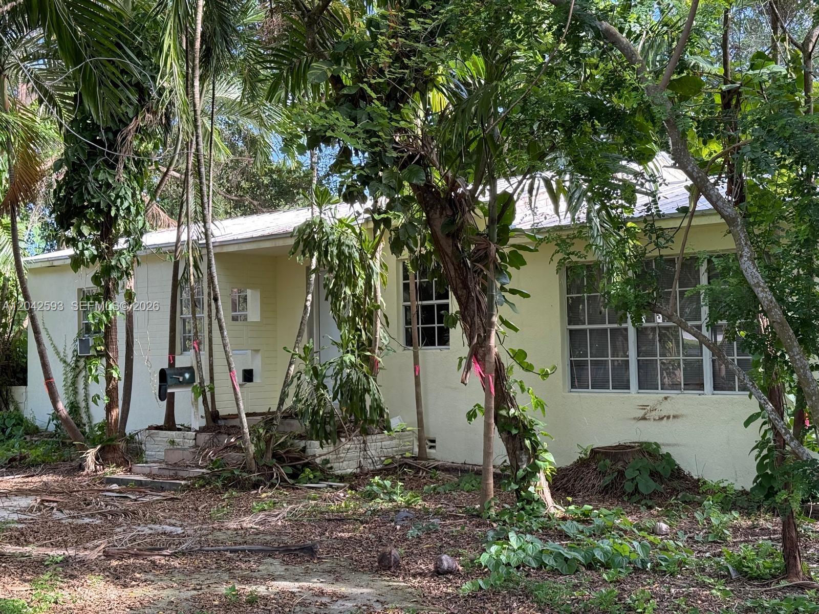 A single-story yellow house with a metal roof is surrounded by trees and overgrown vegetation — 6600 SW 64th Ct, South Miami FL 33143, SOUTH MIAMI, FL