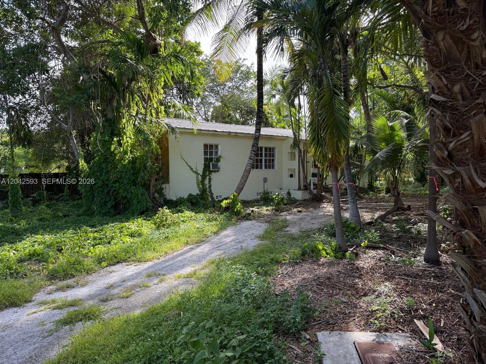 A light-colored, single-story house sits on a lot surrounded by dense trees and vegetation — 6600 SW 64th Ct, South Miami FL 33143, SOUTH MIAMI, FL