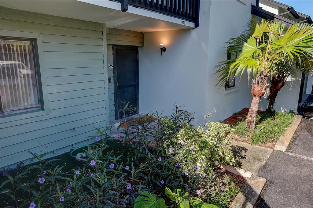 The exterior entrance of a residential unit features a dark door, siding, and landscaping — 3708 GREENERY COURT UNIT 108, TAMPA, FL