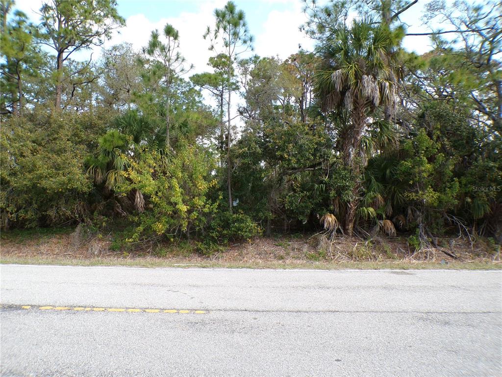 A view of a densely wooded, undeveloped lot from the edge of an asphalt road — 1316 BISCAYNE DRIVE, PORT CHARLOTTE, FL