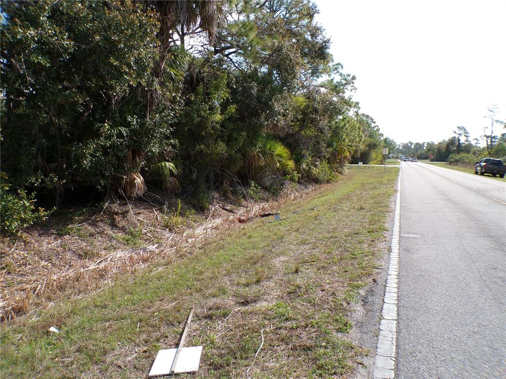A grassy roadside shoulder borders a dense line of trees and shrubs — 1316 BISCAYNE DRIVE, PORT CHARLOTTE, FL