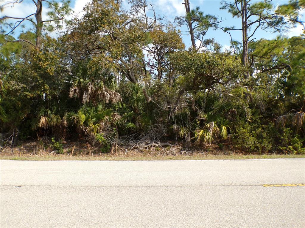 A paved road runs in front of a dense, wooded lot with trees and palms — 1316 BISCAYNE DRIVE, PORT CHARLOTTE, FL