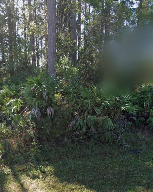 An aerial view shows a vacant, wooded residential lot outlined in blue on a street — 31 RED CLOVER LANE, PALM COAST, FL