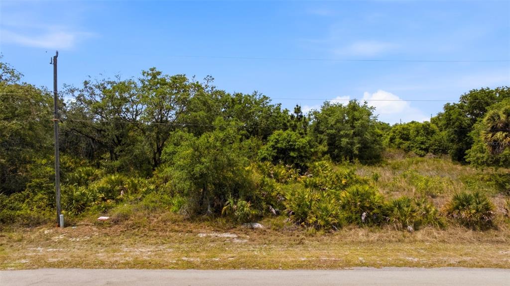 A vacant, overgrown lot with trees and shrubs sits beside a paved road — 1909 WESTBORO LOOP, LEHIGH ACRES, FL