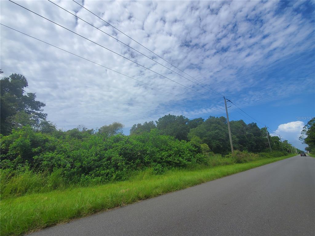 A paved road runs alongside a dense, wooded lot under a cloudy blue sky — 15095 & 15103 GENNARO AVENUE, PORT CHARLOTTE, FL