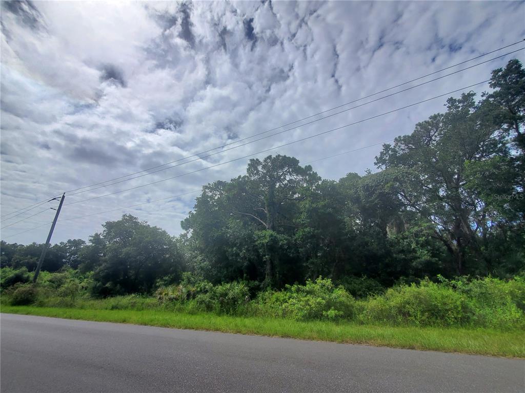 A paved road runs in front of a wooded lot with dense trees and vegetation — 15095 & 15103 GENNARO AVENUE, PORT CHARLOTTE, FL