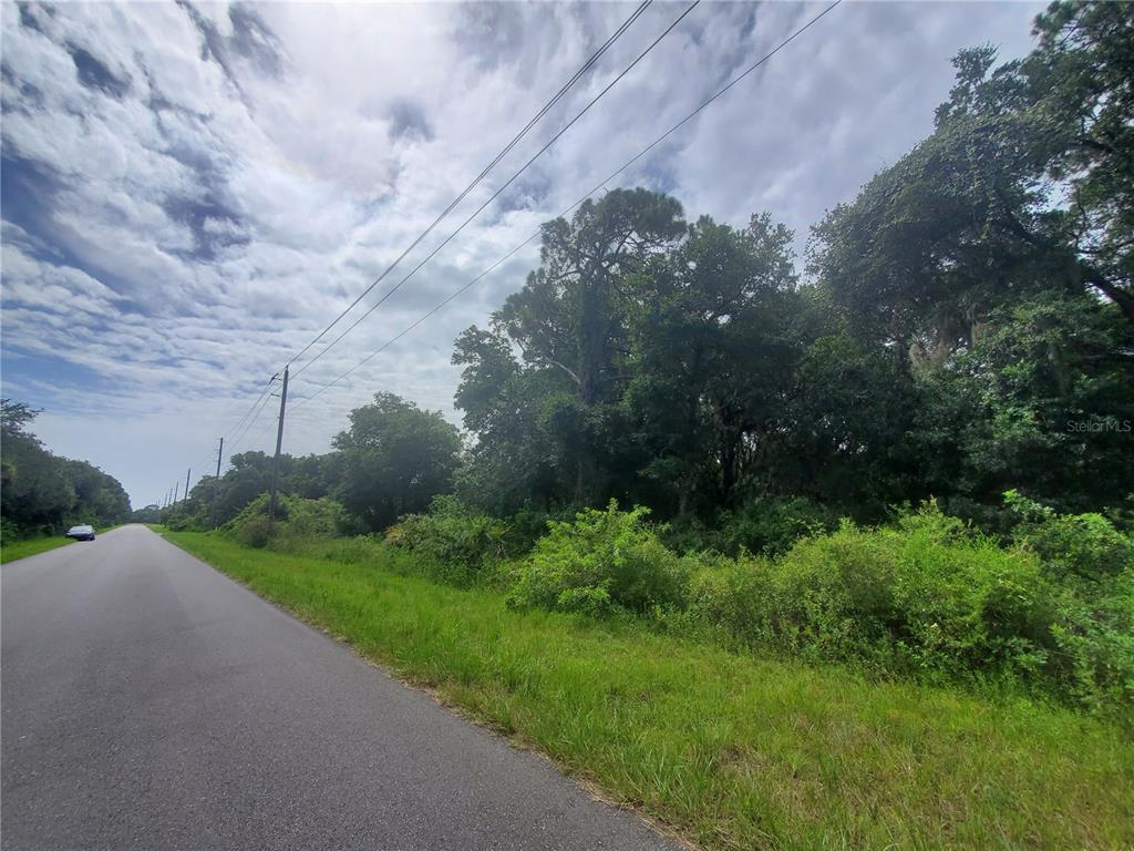 A paved road runs alongside a wooded lot with dense vegetation and utility poles — 15095 & 15103 GENNARO AVENUE, PORT CHARLOTTE, FL