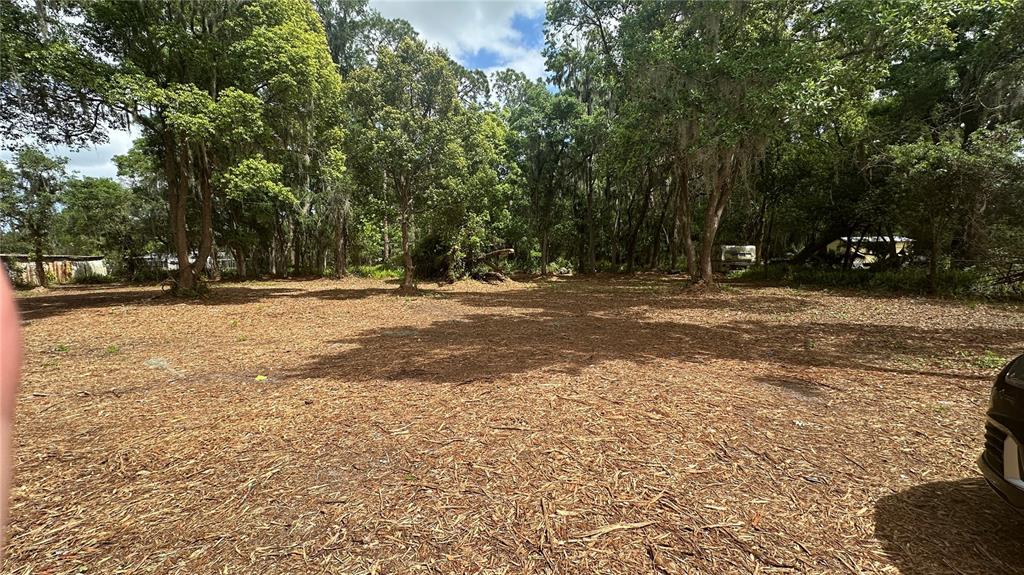A cleared, level lot covered in wood chips is surrounded by dense, mature trees — TURKEY CREEK, PLANT CITY, FL