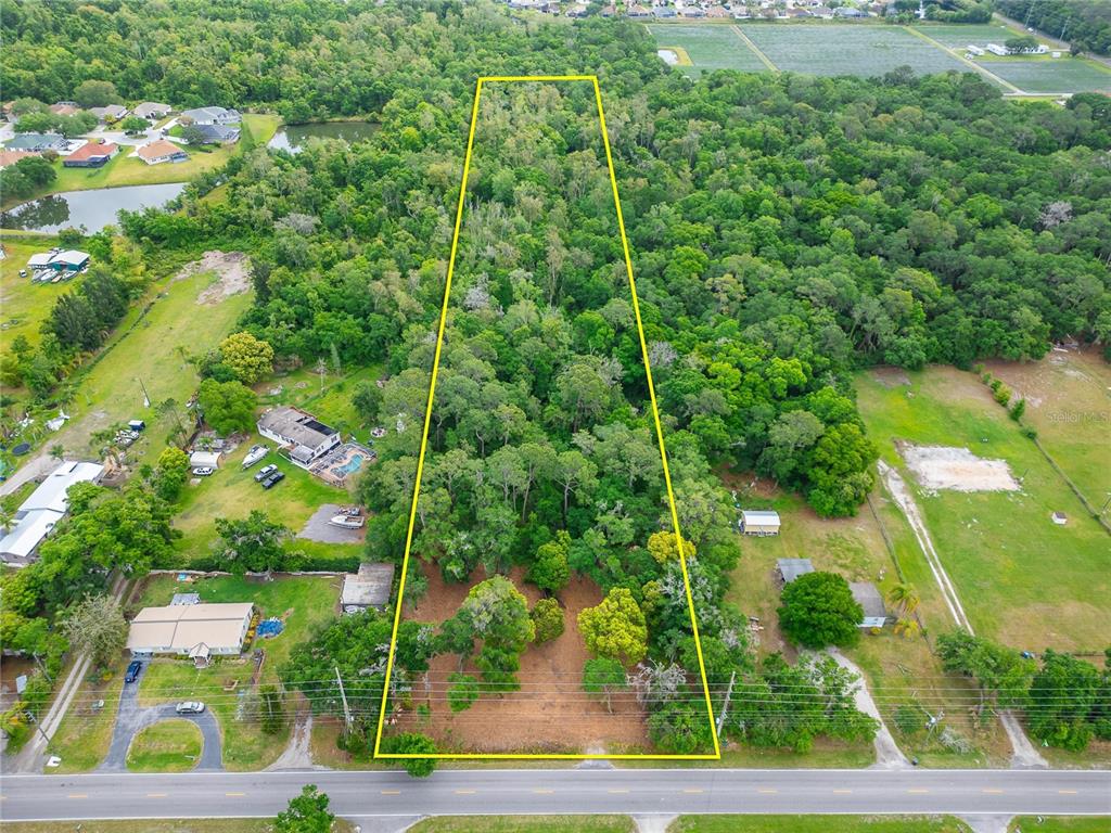 An aerial view shows a rectangular, tree-covered lot outlined in yellow along a paved road — TURKEY CREEK, PLANT CITY, FL