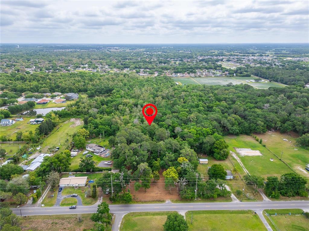 An aerial view shows a wooded lot marked with a red pin near a road — TURKEY CREEK, PLANT CITY, FL