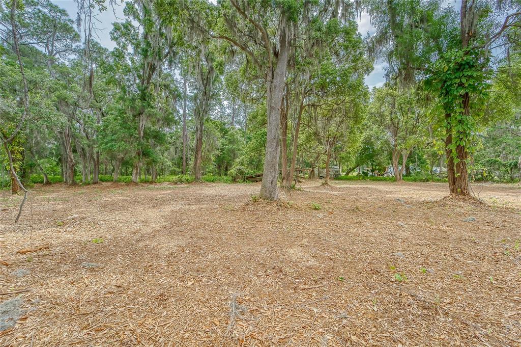 A cleared, level lot with scattered trees and Spanish moss under a cloudy sky — TURKEY CREEK, PLANT CITY, FL