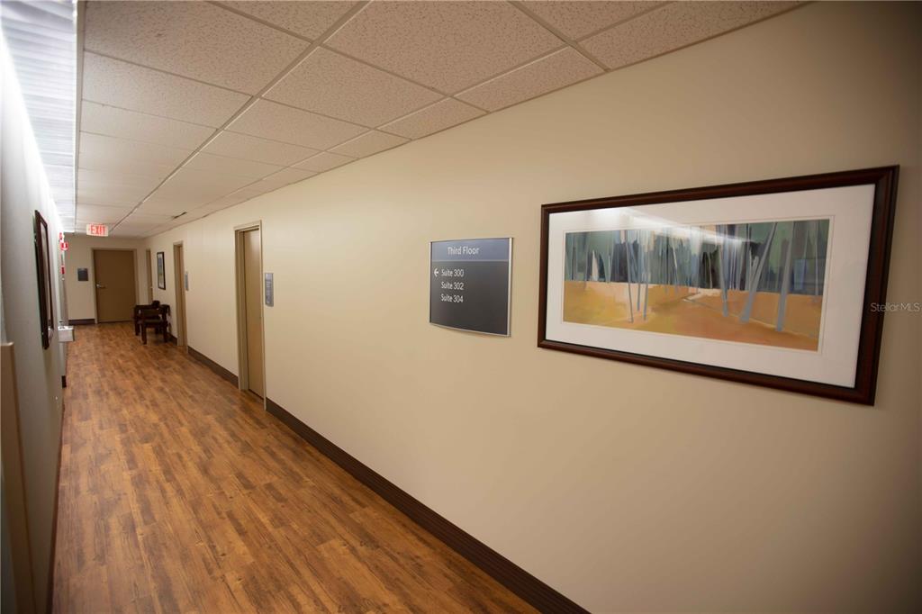 A hallway with wood-look flooring, a directory sign, and framed artwork on a beige wall — 1201 FIFTH AVENUE N UNIT 302, ST PETERSBURG, FL