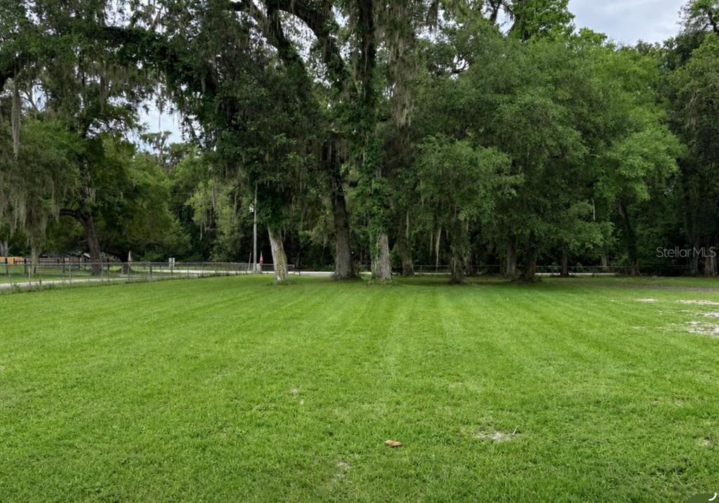 A grassy, level lot features several large, mature trees with hanging Spanish moss — 12253 E BERRY LANE, FLORAL CITY, FL