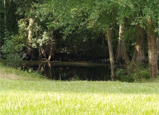 A grassy lawn leads to a dark pond surrounded by dense trees and foliage — 12253 E BERRY LANE, FLORAL CITY, FL