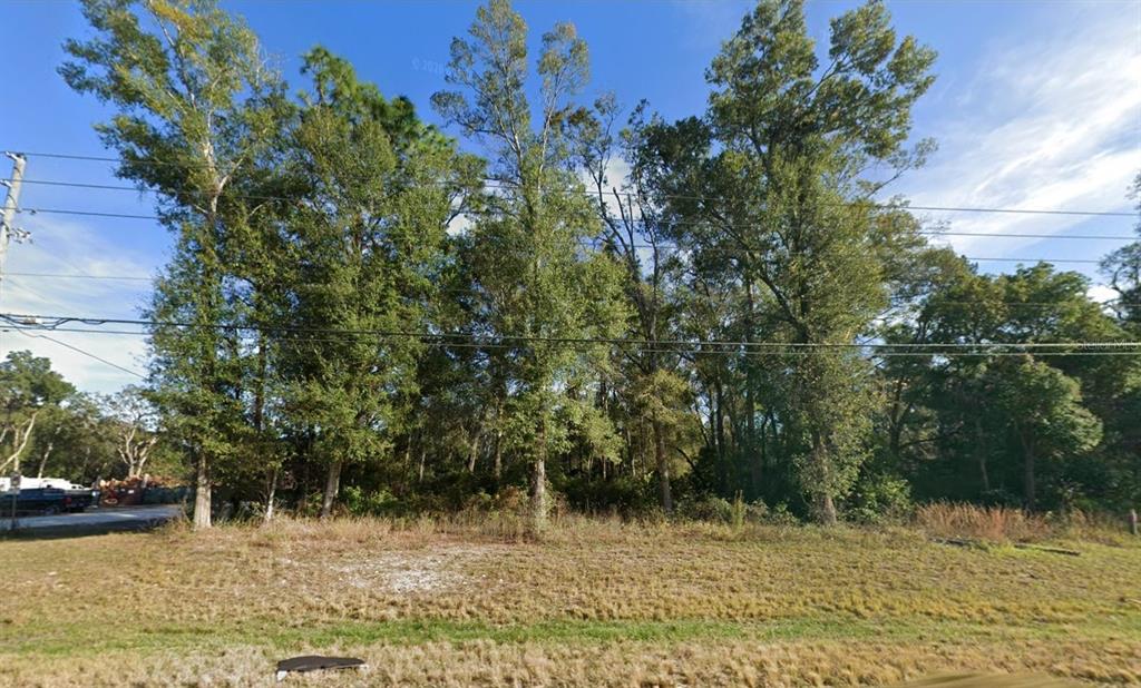 A vacant, grassy lot with a dense cluster of mature trees in the background — BROAD STREET, BROOKSVILLE, FL