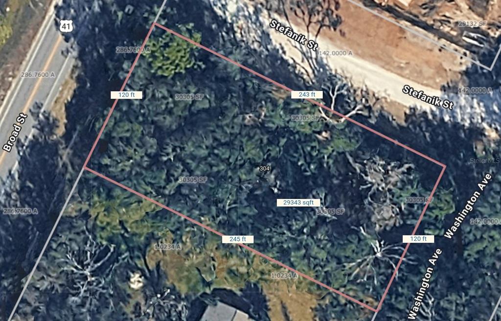 An aerial map shows a rectangular, wooded vacant lot outlined in pink with street labels — BROAD STREET, BROOKSVILLE, FL