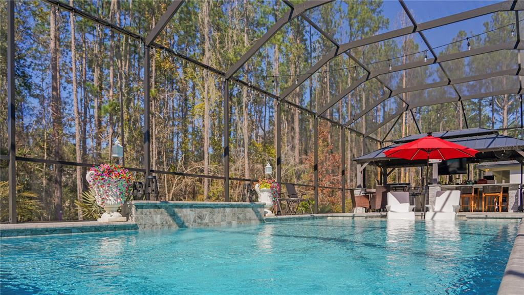 A screened-in swimming pool with a water feature and a covered outdoor bar area — 4801 MAJESTIC HILLS LOOP, BROOKSVILLE, FL