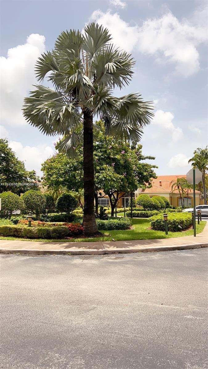 A tall palm tree stands in a landscaped garden in front of a residential building — 7350 NW 114th Ave # 103, Doral FL 33178, DORAL, FL