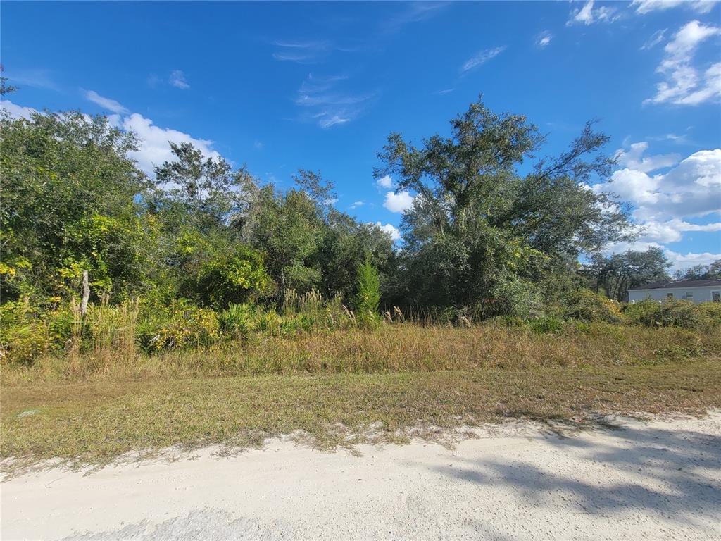 A vacant, wooded lot with sandy ground under a blue sky with scattered clouds — 9460 ROUSSEAU STREET, WEBSTER, FL