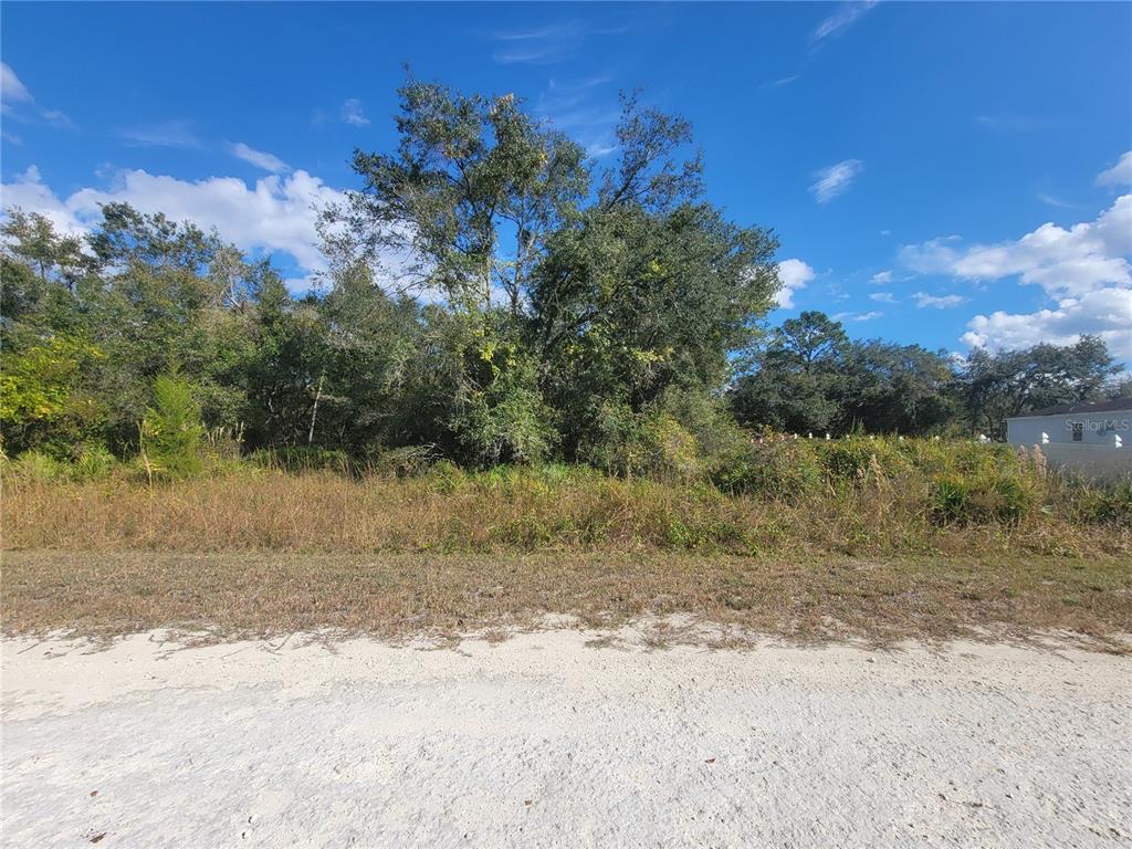 A vacant, overgrown lot with sandy ground and dense trees under a blue sky — 9460 ROUSSEAU STREET, WEBSTER, FL