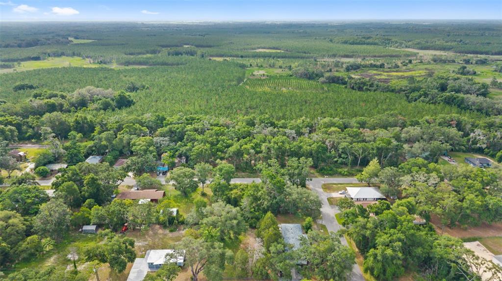 An aerial view shows several houses nestled among dense trees and surrounding rural land — 15177 SPOKANE ROAD, SPRING HILL, FL
