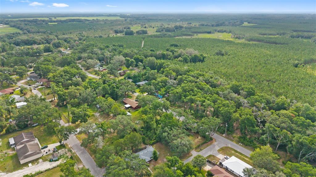 An aerial view shows a residential neighborhood surrounded by dense trees and open fields — 15177 SPOKANE ROAD, SPRING HILL, FL
