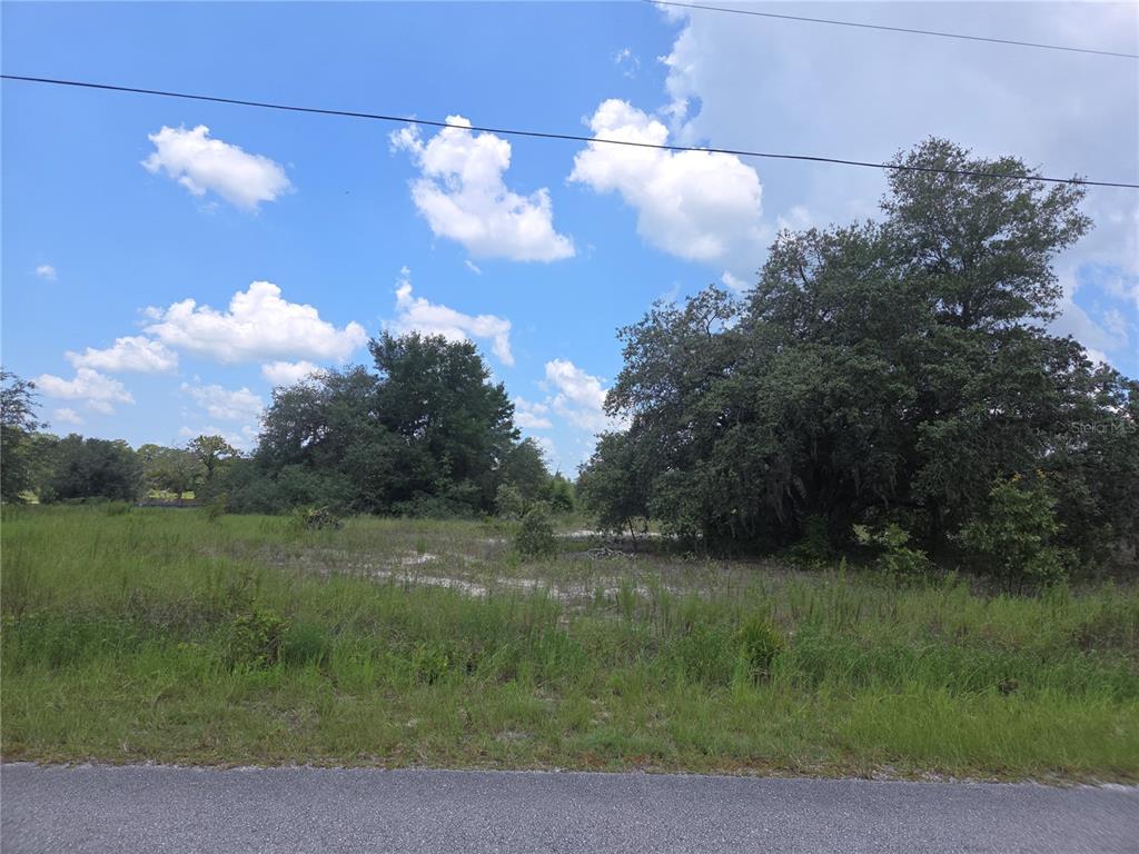 A grassy, undeveloped lot features scattered trees and shrubs under a partly cloudy blue sky — Lot 14 SW VIOLA COURT, DUNNELLON, FL