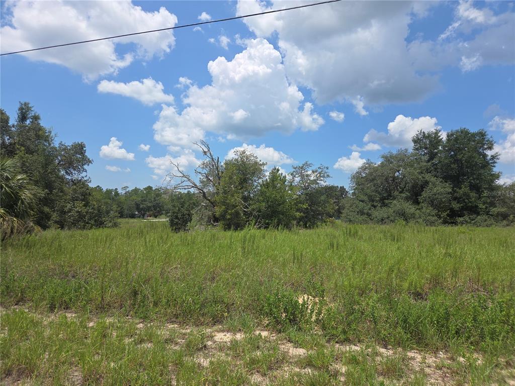 A grassy, undeveloped lot features scattered trees under a bright blue sky with clouds — Lot 14 SW VIOLA COURT, DUNNELLON, FL