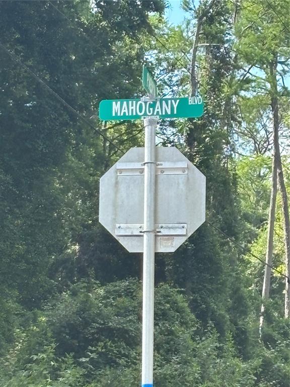 A street sign for Mahogany Blvd is mounted on a metal pole in a wooded area — 5014 MAHOGANY BOULEVARD, BUNNELL, FL